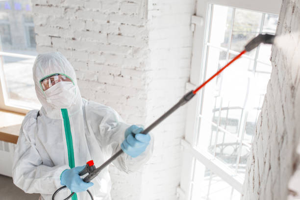 Mold Remediation for Rental Properties in Geistown, PA